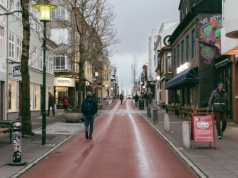 Komary dotarły na Islandię pierwszy raz w historii. W kraju poruszenie