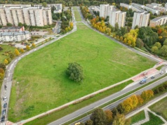 CUK przedstawił tygodniowy harmonogram prac zieleniarskich