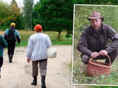 Leśnicy zdradzają, jak przechytrzyć innych grzybiarzy i wyjść z lasu z pełnym koszem