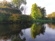 Małe jeziora i drobne zbiorniki wodne – wielki problem: luki w systemie monitoringu wód śródlądowych w Polsce