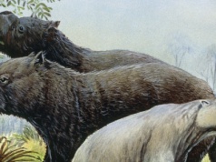 Podręczniki trzeba pisać na nowo. Wyszły na jaw fakty w sprawie olbrzymów