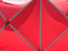 Makabryczne odkrycie w lesie. Znaleziono ciało mężczyzny, nowosolska policja ustala tożsamość