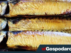 Makrela czy łosoś – co wybrać?