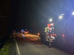 Brzeźnica: kolizja z dzikiem sparaliżowała ruch na drodze — interweniują strażacy