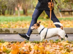 Pogorszenie nastroju jesienią. Jak Polacy sobie z tym radzą?