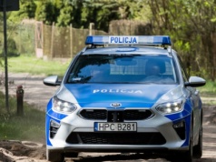 Chłopiec zaatakowany przez psa. Prokuratura wszczęła śledztwo