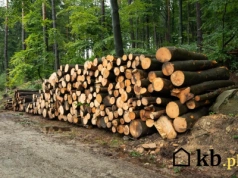 Prosty przelicznik ujawnia prawdę: tyle opału naprawdę potrzebujesz na zimę