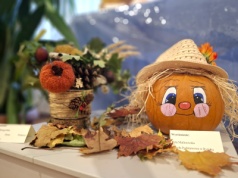 Najpiękniejsze dynie wybrane