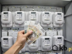 Polacy kombinują z prądem z paneli. Eksperci ostrzegają: sprzedaż prądu sąsiadowi to problem