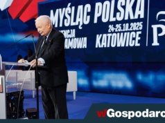 "Niemcy i Francja chcą nam zabrać państwo, Ameryka nie"