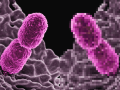 W krajowskiej fabryce AI powstaną "cyfrowe bliźniaki". To może być rewolucja