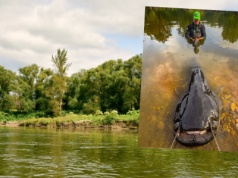 Złowił w Odrze gigantycznego suma. Ma ponad 2 m