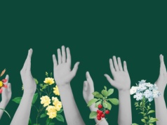 Bez demokracji nie będzie żadnej transformacji. Średnie miasta i „zielony trylemat”