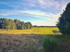 Celtyckie narzędzie do trepanacji czaszki odkryte na Łysej Górze. Archeolodzy natrafili też na ślady dawnych kowali