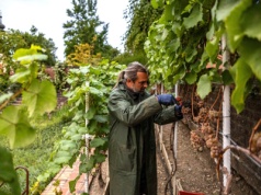 Komentarz do Ewangelii, 25 października 2025