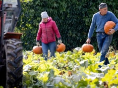 Nikt nie może się z nami równać. Jesteśmy dyniową potęgą UE