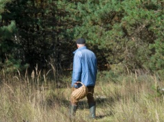 Zła wiadomość dla grzybiarzy. Leśnicy: to może być ostatnia szansa w tym roku