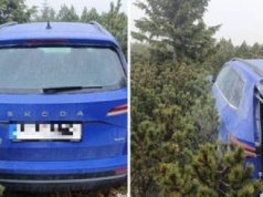 Skradzione auto odnalezione pod Śnieżką. Było ukryte w kosodrzewinie