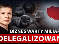 Polska jest globalną potęgą w tej branży, a rząd chce ją zlikwidować