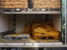 Niemcy zalewają nas ziemniakami. Polskim rolnikom nie opłaca się już ich sadzić