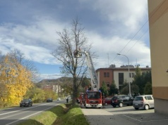 Gałęzie zagrażały kierowcom. Szybką akcją służb. Andrychów