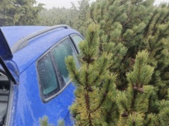 Policja pochwaliła się, że znalazła skradzione auto. Nie zgadniecie, gdzie było