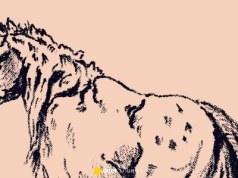 Znajdź ludzką twarz w siedem sekund. Iluzja optyczna z XIX w.