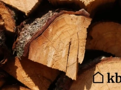 Wystarczy kubek i zapalniczka, by sprawdzić, czy drewno nadaje się do kominka! Działa lepiej niż miernik wilgotności