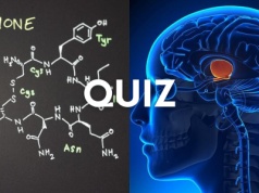 W tym quizie pytamy o hormony. Kto zdobędzie tutaj okrągłe 11/11?