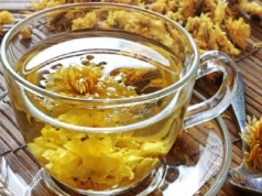 Chryzantemy łagodzą lęk, niepokój, stres, gorączkę, infekcje