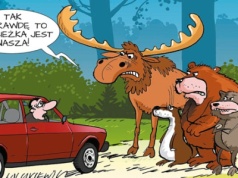 Prawnik radzi. Jak to jest z tymi drogami leśnymi? 