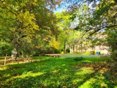 Park przy dworze Czeczów przejdzie gruntowną rewitalizację