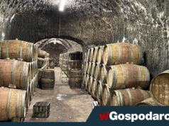 Winiarstwo w Polsce wyszło z niszy