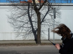 IMGW zapowiada silny wiatr w czterech powiatach województwa pomorskiego