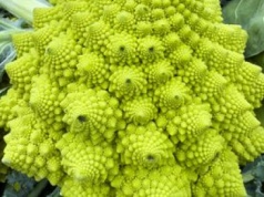 Pierwszy raz spróbowałem go we Włoszech. Od tamtej pory jest stałym punktem mojego menu