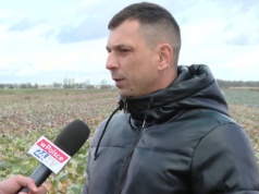 Rolnik gorzko o Mercosur: Rząd nas oszukał