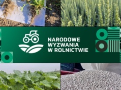 Sztuka optymalizacji w produkcji roślinnej. Jak przetrwać w trudnych czasach rynkowych?