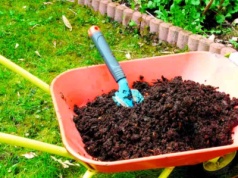 Rozsyp jesienią w ogrodzie. Jest dla gleby jak terapia, obornik niepotrzebny