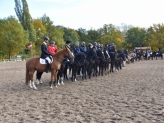 Hubertus w Stadzie Ogierów upadł na naszych oczach. Jeźdźcy mówią wprost: „To koniec tradycji”