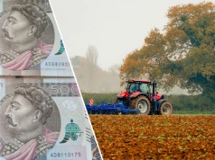 KOWR sprzeda 81 ha ziemi rolnej po spółdzielni za 2 mln zł. Nie każdy rolnik się odważy