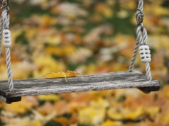 „To nie nasze dzieci”. Żenujący spór urzędników rozstrzygnął sąd