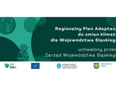 W stronę odpornej przyszłości. Śląskie z pionierskim planem adaptacji do zmian klimatu