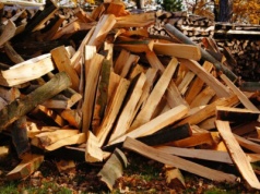 Frezowanie pni, zleć to profesjonalistom z Komplex