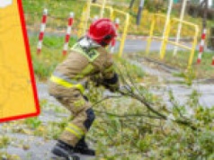 Pogoda Lubuskie. Ostrzeżenia IMGW dla całego regionu – będzie mocno wiało