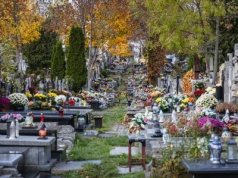 Cmentarz Wolski w Warszawie. Historia, dojazd, parking i godziny otwarcia