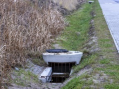 Poszedł rankiem na spacer. Zamarł na widok tego, co znalazł jego pies