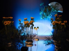 Miniatura, chwila, oddech – ikebana i bonsai jako sztuka obecna w Muzeum Manggha