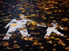 Zapraszamy na listopadowe warsztaty!