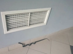 Wąż na klatce przy ul. Dorantta! Eko Patrol znów w akcji