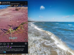 Pokazała fioletową plażę w Polsce. "Natura stworzyła coś, co wygląda jak kadr z innej planety"